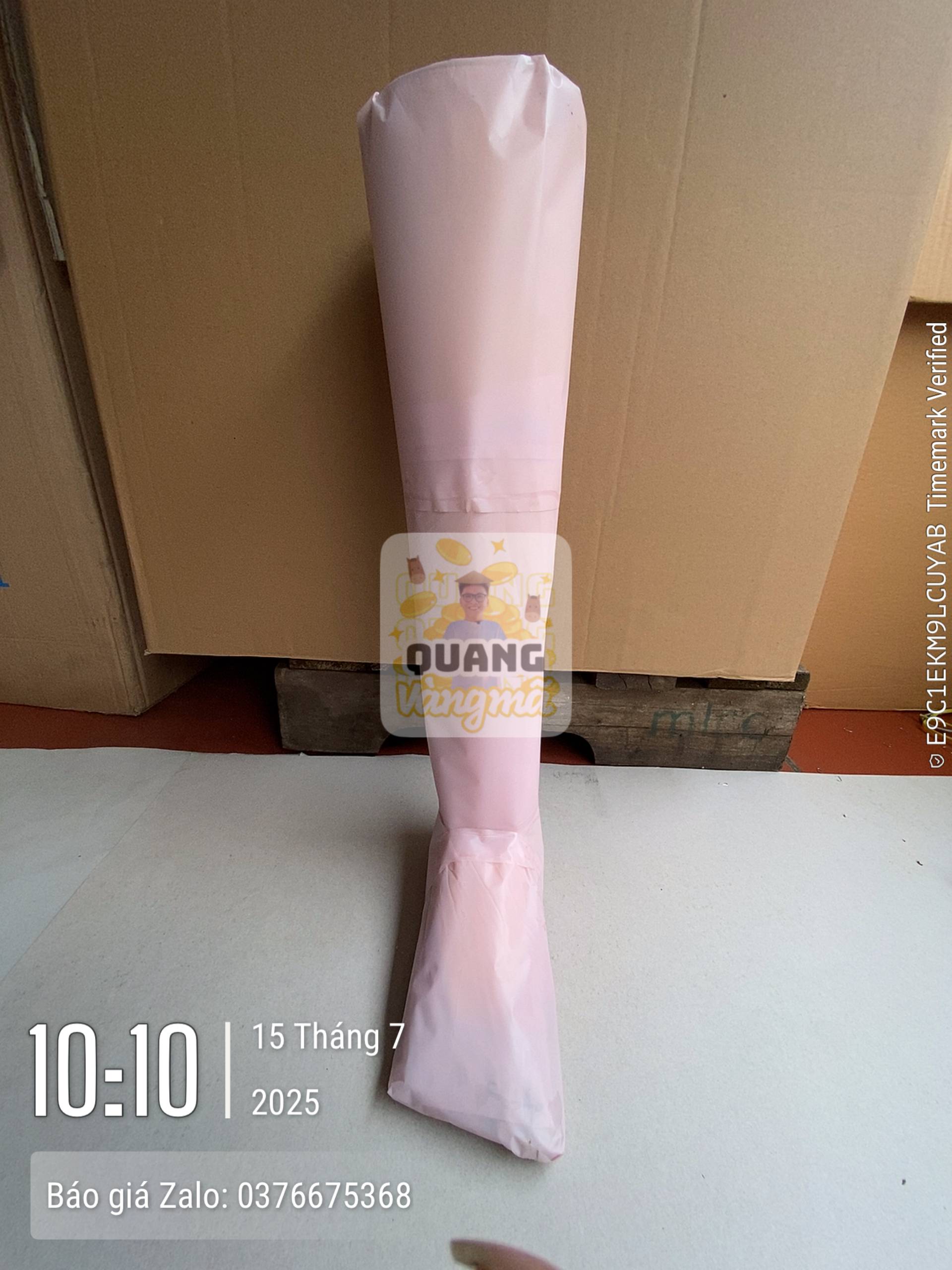 Giả chân